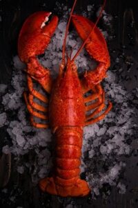 whatsapp image 2025 10 22 at 11.30.35 am (2)