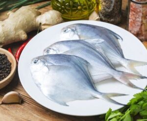 whatsapp image 2025 10 22 at 11.30.36 am